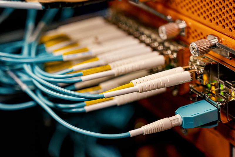 Fiber optic patch cables plugged into network equipment